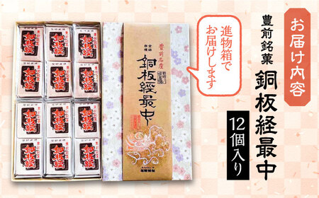 【進物箱】銅板経最中 12個入り《豊前市》【武蔵屋】お中元 ギフト 贈り物 和菓子 饅頭 [VBU001]
