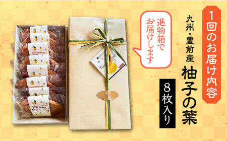 【全12回定期便】【進物箱】柚子の葉 8枚入り《豊前市》【武蔵屋】お中元 ギフト 贈り物 和菓子 [VBU019]