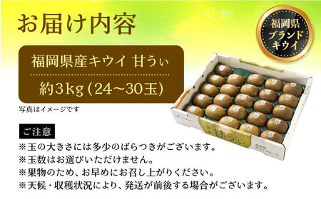 【先行予約】【福岡限定ブランド キウイ】「甘うぃ(あまうぃ)」約3kg箱(24-30玉)【2025年10月以降順次発送】 《豊前市》【南国フルーツ株式会社】キウイ 果物 フルーツ ＜離島配送不可＞[VBY005]