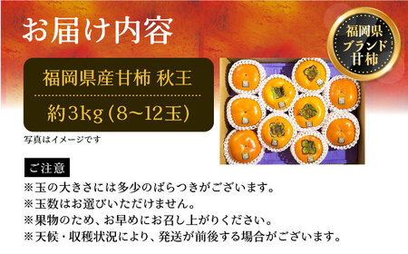 【先行予約】秋王 (あきおう) 柿a 3kg 箱 (8-12玉)【2025年10月以降順次発送】《豊前市》【南国フルーツ】柿 果物 フルーツ ＜離島配送不可＞[VBY007]