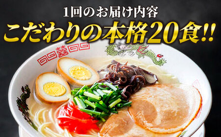 【全12回定期便】博多ラーメン 20食セット（福岡名物豚骨ラーメン）本格派こだわり 半生めん《豊前市》【株式会社マル五】 [VCL038]