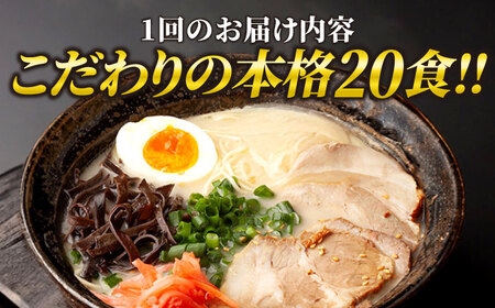 【全12回定期便】久留米ラーメン 20食セット（福岡名物豚骨ラーメン）本格派こだわり半生めん《豊前市》【株式会社マル五】 [VCL041]