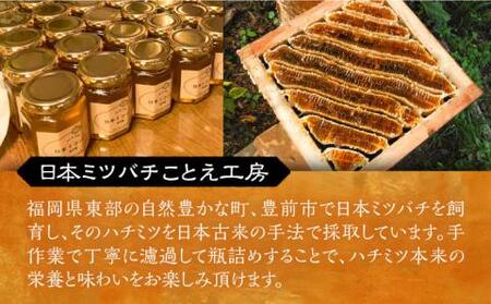 日本ミツバチの蜂蜜(ギフトセット150g×2本)《豊前市》【日本ミツバチことえ工房】蜂蜜 はちみつ ハチミツ [VCM001]