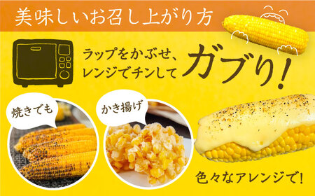 【先行予約】夜明けのスイートコーン 4kg×1箱 (7～10本) 【2026年6月以降順次発送】《豊前市》【アグリネックス】 とうもろこし コーン スイートコーン 14000円 [VCO001]