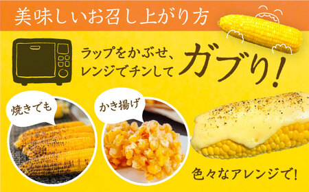 【先行予約】夜明けのスイートコーン 4kg×2箱 (14～20本) 【2026年6月以降順次発送】《豊前市》【アグリネックス】 とうもろこし コーン スイートコーン 20000円 [VCO002]