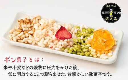 【全12回定期便】おやつdeポン ポン菓子 5種×3袋 セット 詰め合わせ《豊前市》【障害者支援施設 第一周防学園】 [VCX004]