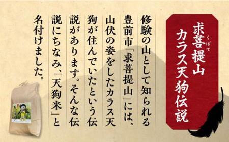【全3回定期便】天狗米 夢つくし 10kg《豊前市》【障害者支援施設 第一周防学園】米 お米 ゆめつくし 白米 [VCX010]