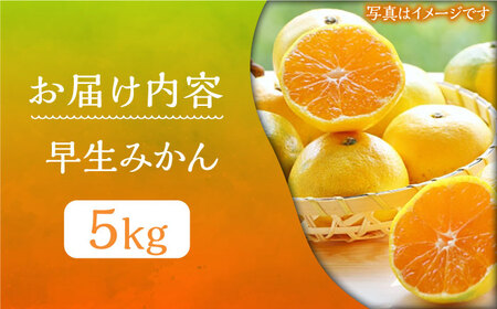 ミカン 早生 5kg《豊前市》【山田農場 フルーツランド】ミカン みかん 早生みかん [VCY008]