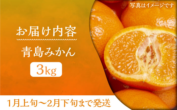 ミカン 青島 3kg《豊前市》【山田農場 フルーツランド】ミカン みかん 青島みかん [VCY010]