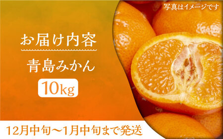 ミカン 青島 10kg《豊前市》【山田農場 フルーツランド】ミカン みかん 青島みかん [VCY012]