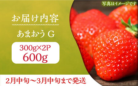 あまおう G(グランデ) 300g×2P 600g 1箱《豊前市》【山田農場 フルーツランド】 いちご イチゴ 苺 [VCY013]
