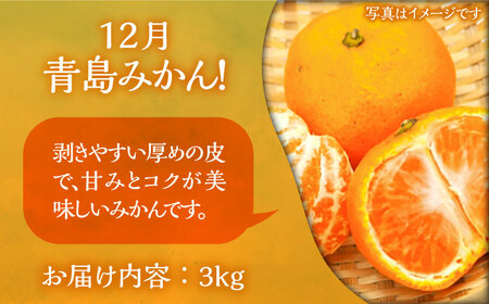 【全3回定期便】フルーツ定期便 《豊前市》【山田農場 フルーツランド】 果物 くだもの フルーツ [VCY015]