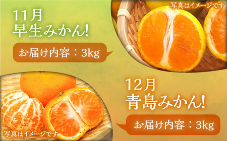 【全6回定期便】フルーツ定期便 《豊前市》【山田農場 フルーツランド】 果物 くだもの フルーツ [VCY016]