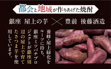 【全12回定期便】芋焼酎 銀座芋人 4合 720ml（25度）《豊前市》【後藤酒造合資会社】 焼酎 酒 いも焼酎 [VDA014]