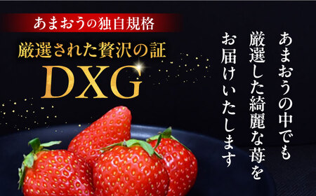 【12月発送】農家直送 あまおう DXG 1080g (270ｇ以上 × 4 パック) 土耕栽培《豊前市》【山口農園】果物 いちご [VDE011]