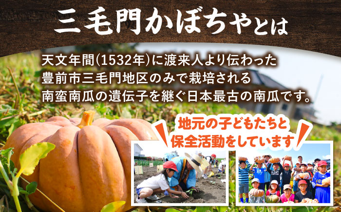 三毛門南瓜 焼酎 鎮盛 (しげもり) 1.8L 38度 ≪豊前市≫【三毛門南瓜保存会】 お酒 かぼちゃ [VDF001]