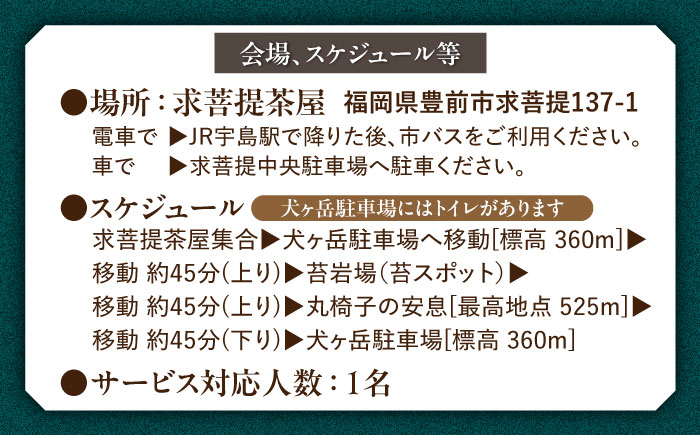 森林セラピー（犬ヶ岳せせらぎの森コース） 《豊前市》　【豊前観光まちづくり協会】　体験 ツアー 旅行 自然探索 登山 [VDO002]