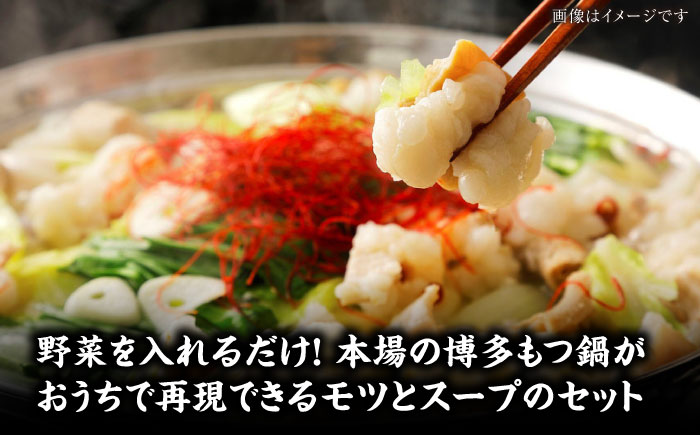 博多 味噌 もつ鍋 2人前 《豊前市》【株式会社木村食品】 もつなべ モツ鍋 みそ [VDZ020]