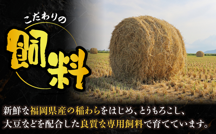 博多和牛 ハンバーグ140g×5個入り 《豊前市》【JA全農ミートフーズ株式会社】牛肉 肉 おすすめ 人気 [VET011]