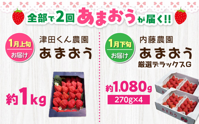 【全2回定期便】あまおう2種食べ比べ返礼品 4万円コース 《豊前市》【豊前市定期便】 [VZZ026]