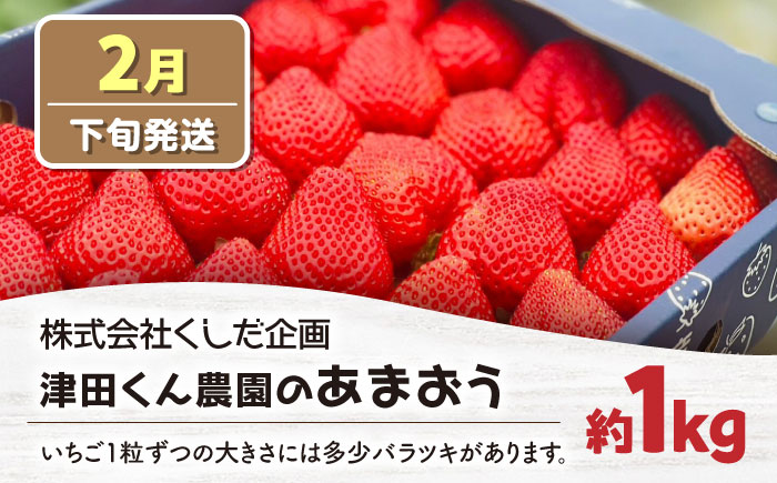 【全3回定期便】あまおう3種食べ比べ返礼品 5万円コース 《豊前市》【豊前市定期便】 [VZZ027]
