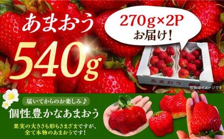 【先行予約】【2月-4月発送】農家直送 あまおう 540g （270g以上 × 2 パック） 土耕栽培《豊前市》【内藤農園】果物 いちご [VAB014]