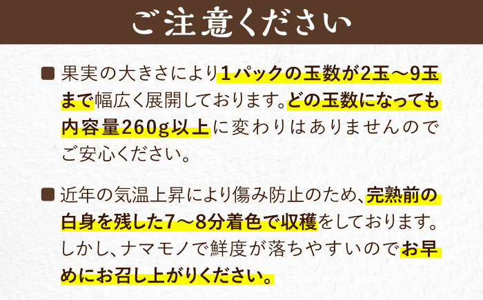 【先行予約】【1~4月発送】農家直送　大玉規格　特大大粒あまおう　《豊前》　【内藤農園】 [VAB023]