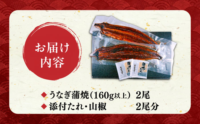 福岡県産 うなぎ 蒲焼 大2尾 合計 320 g（1尾あたり 160g以上）《豊前市》【福岡養鰻】 国産 うなぎ 大 [VAD002]