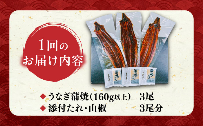 福岡県産 うなぎ 蒲焼 大3尾 合計 480 g（1尾あたり 160g以上）《豊前市》【福岡養鰻】 国産 うなぎ 大 [VAD003]