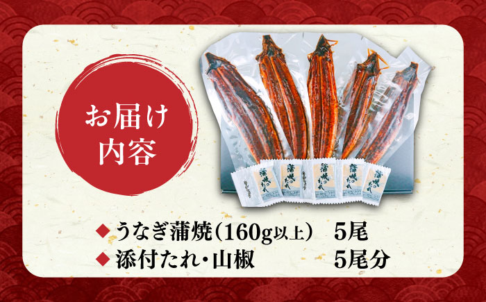 福岡県産 うなぎ 蒲焼 大5尾 合計 800 g（1尾あたり 160g以上）《豊前市》【福岡養鰻】 国産 うなぎ 大 [VAD004]
