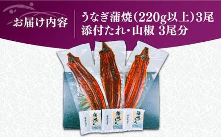 福岡県産 うなぎ 蒲焼 特大 3尾 合計 660 g（1尾あたり 220g以上）《豊前市》【福岡養鰻】 国産 うなぎ 特大 [VAD005]