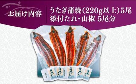 福岡県産 うなぎ 蒲焼 特大 5尾 合計 1,100 g（1尾あたり 220g以上）《豊前市》【福岡養鰻】 国産 うなぎ 特大 [VAD006]