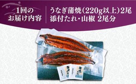 【全6回定期便】福岡県産 うなぎ 蒲焼 特大 2尾 合計 440 g（1尾あたり 220g以上）《豊前市》【福岡養鰻】 国産 うなぎ 特大 [VAD009]