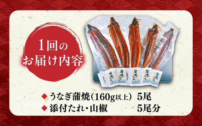 【全3回定期便】福岡県産 うなぎ 蒲焼 大5尾　合計 800 g（1尾あたり 160g以上）《豊前市》【福岡養鰻】 国産 うなぎ 大 [VAD017]