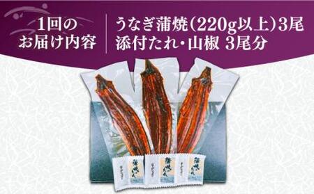 【全6回定期便】福岡県産 うなぎ 蒲焼 特大 3尾 合計 660 g（1尾あたり 220g以上）《豊前市》【福岡養鰻】 国産 うなぎ 特大 [VAD021]