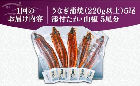【全6回定期便】福岡県産 うなぎ 蒲焼 特大 5尾 合計 1,100 g（1尾あたり 220g以上）《豊前市》【福岡養鰻】 国産 うなぎ 特大 [VAD024]