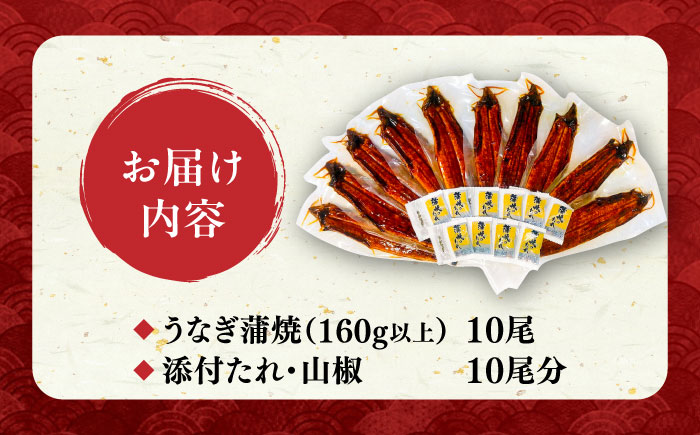 福岡県産 うなぎ 蒲焼 大 10尾　計1,600g（1尾あたり 160g以上）《豊前市》【福岡養鰻】 国産 鰻 ウナギ 蒲焼き [VAD026]