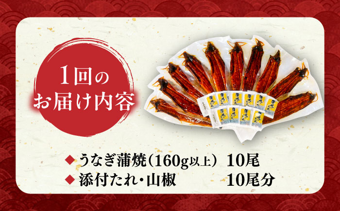 【全12回定期便】福岡県産 うなぎ 蒲焼 大 10尾　計1,600g（1尾あたり 160g以上）《豊前市》【福岡養鰻】 国産 鰻 ウナギ 蒲焼き [VAD029]