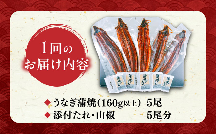 【全2回定期便】福岡県産 うなぎ 蒲焼 大5尾　合計 800 g（1尾あたり 160g以上）《豊前市》【福岡養鰻】 国産 うなぎ 大 [VAD035]