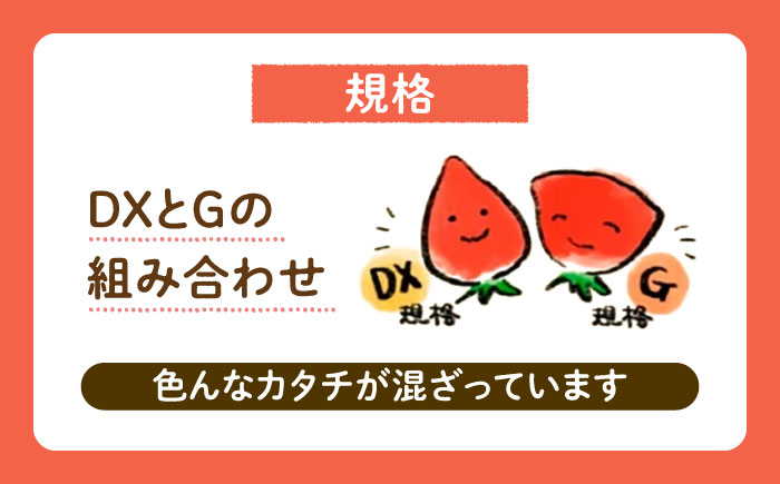 先行予約【2026年1月下旬～4月中旬発送】ココロファーム の 濃厚あまおう 285g × 2P 約570g 《豊前市》[VAE007] ※北海道・沖縄・離島 配送不可