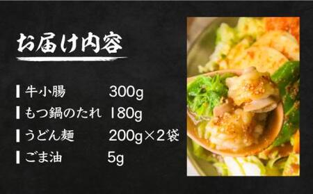 元祖味噌もつ鍋 平壌屋おすすめ 2～3人用 セット ( うどん )【焼肉・もつ鍋 平壌屋】《豊前市》国産牛 もつ もつ鍋 ホルモン [VAH045]