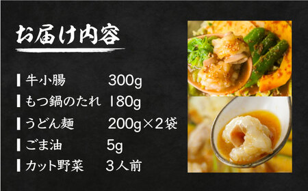 元祖味噌もつ鍋 平壌屋おすすめ 2～3人用 セット ( 野菜 + うどん )【焼肉・もつ鍋 平壌屋】《豊前市》国産牛 もつ もつ鍋 ホルモン [VAH056]