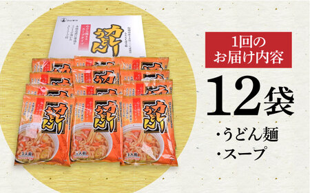 【第3回定期便】 スープカレーうどん (12食入り)≪豊前市≫【富士菊】 うどん カレー 麺 [VAI071]