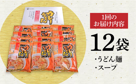 【第12回定期便】 スープカレーうどん (12食入り)≪豊前市≫【富士菊】 うどん カレー 麺 [VAI073]
