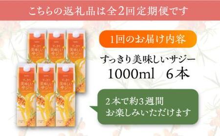 【全2回定期便】家族みんなでおいしく飲める！すっきり美味しい サジー 6本 《豊前市》【ハウスボトラーズ】 [VAX047]