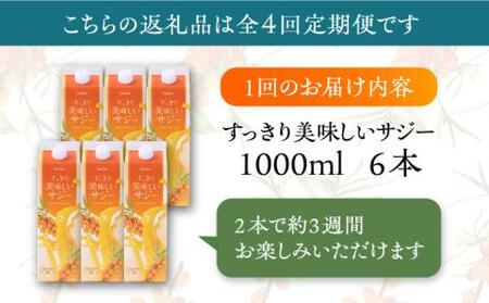 【全4回定期便】家族みんなでおいしく飲める！ すっきり美味しい サジー 6本 《豊前市》【ハウスボトラーズ】 [VAX049]