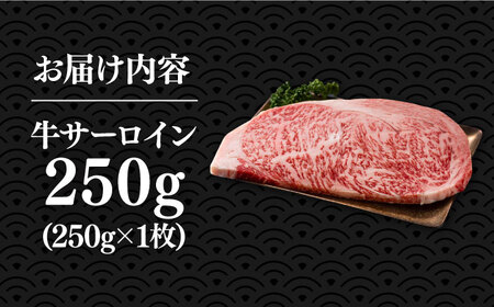 博多和牛サーロインステーキ 250g（250g×1枚）【株式会社Meat Plus】《豊前市》肉 焼肉 ステーキ お土産 冷凍 [VBB009]