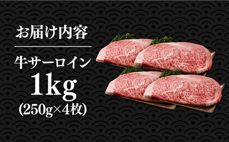 博多和牛サーロインステーキセット 1kg（250g×4枚）【株式会社Meat Plus】《豊前市》肉 焼肉 ステーキ お土産 冷凍 [VBB010]