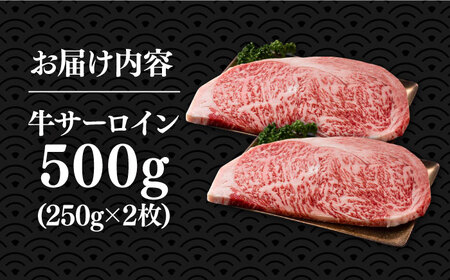 博多和牛サーロインステーキセット 500g（250g×2枚）【株式会社Meat Plus】《豊前市》肉 ステーキ サーロイン [VBB011]