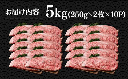 【訳あり】博多和牛サーロインステーキセット 5kg（250g2枚入り×10p）【株式会社Meat Plus】《豊前市》肉 ステーキ サーロイン [VBB012]
